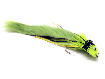 Haukipopperi - chartreuse 12cm